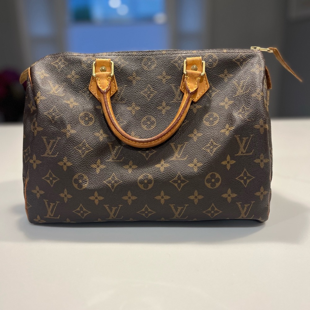 Louis Vuitton Speedy 30 Satchel